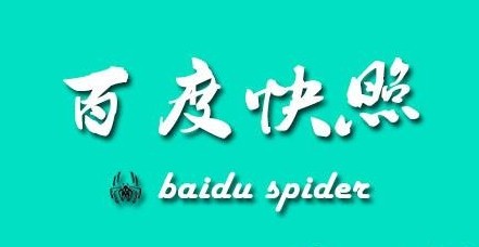 百度快照 搜索引擎排名 新華網(wǎng) SEO