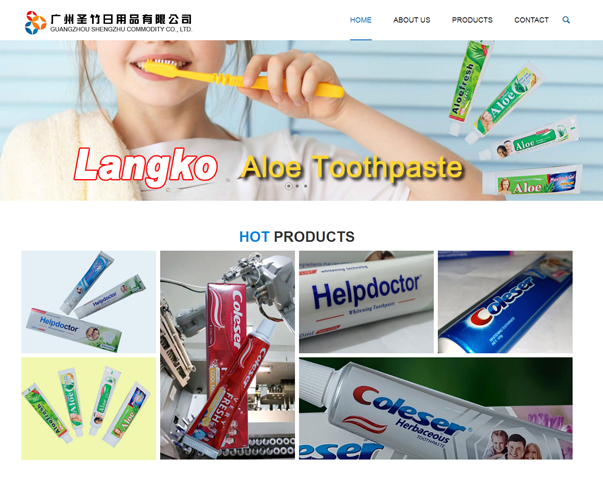 廣州網(wǎng)站制作，域名服務(wù)器租用，廣州網(wǎng)站建設(shè)